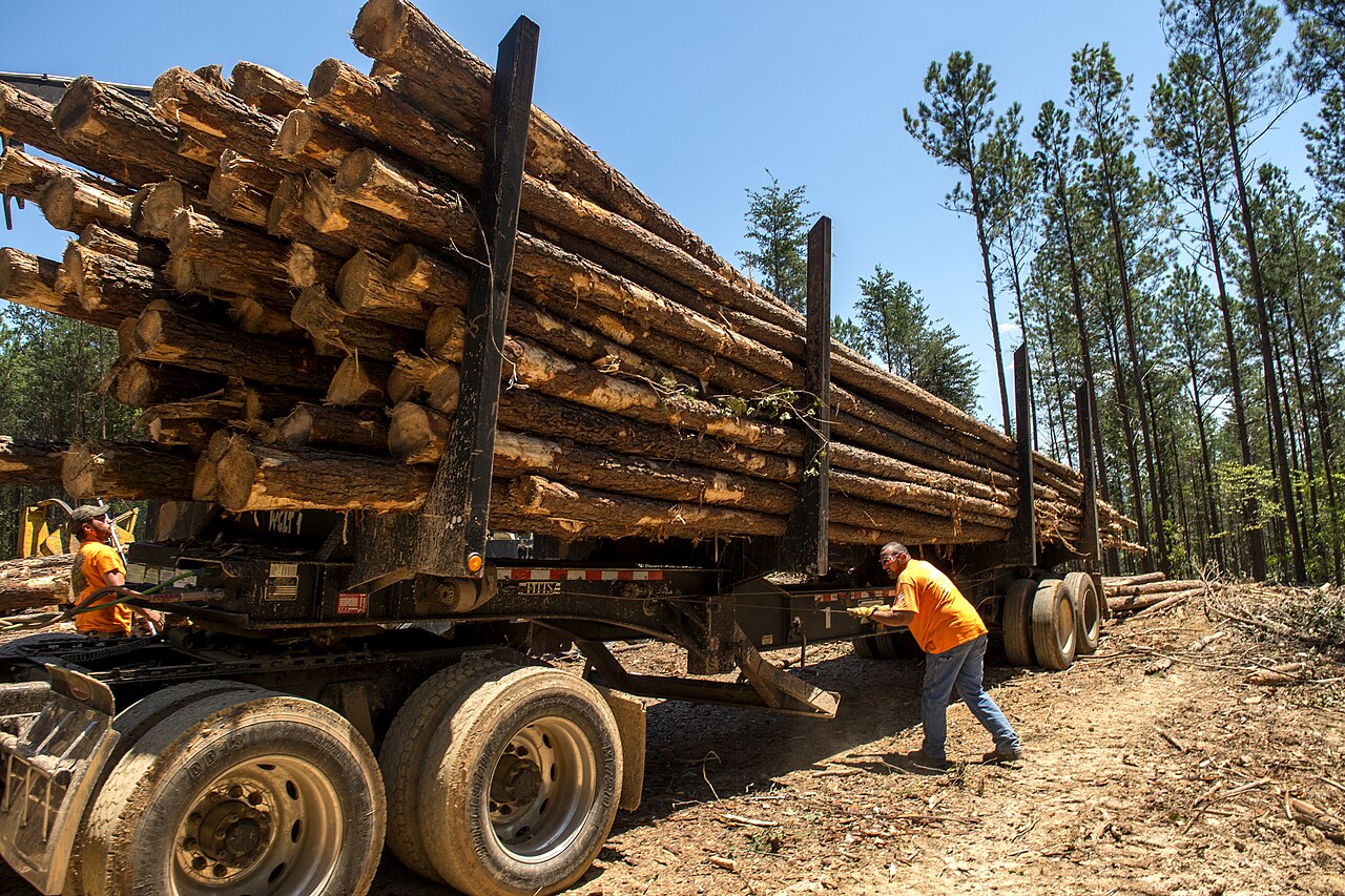 Workers beside a logging trailer loaded with timber in Georgia's Chattahoochee National Forest